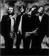 The Seahorses
